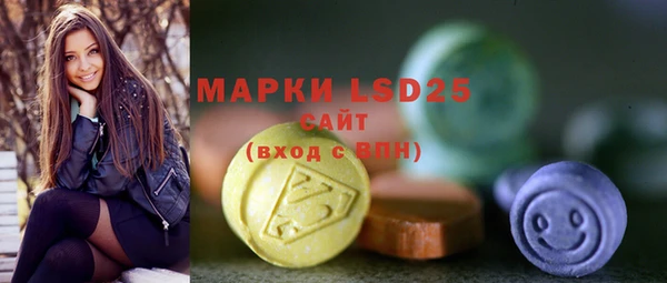 ПСИЛОЦИБИНОВЫЕ ГРИБЫ Волосово