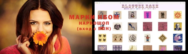 МДПВ Верея