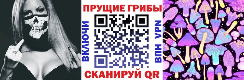 Псилоцибиновые грибы Cubensis  Купить закладки  Тобольск 